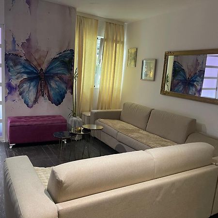 Dorotea Butterfly Budva Exterior foto